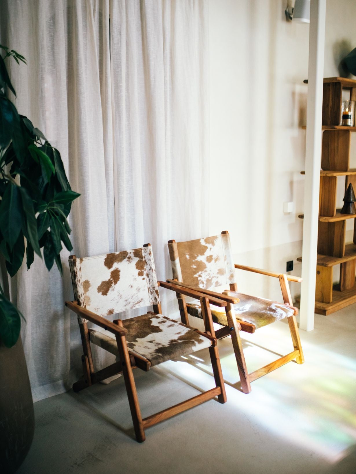 Chaise en peau de vache et bois d'acacia, Benissa