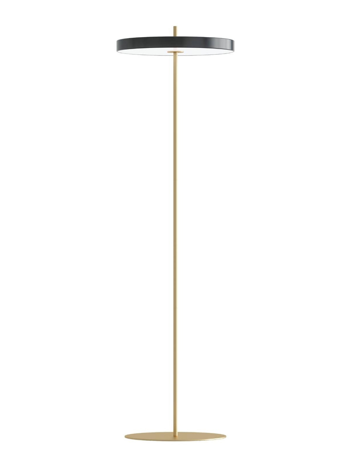Lampadaire LED en Acier, Asteria Floor