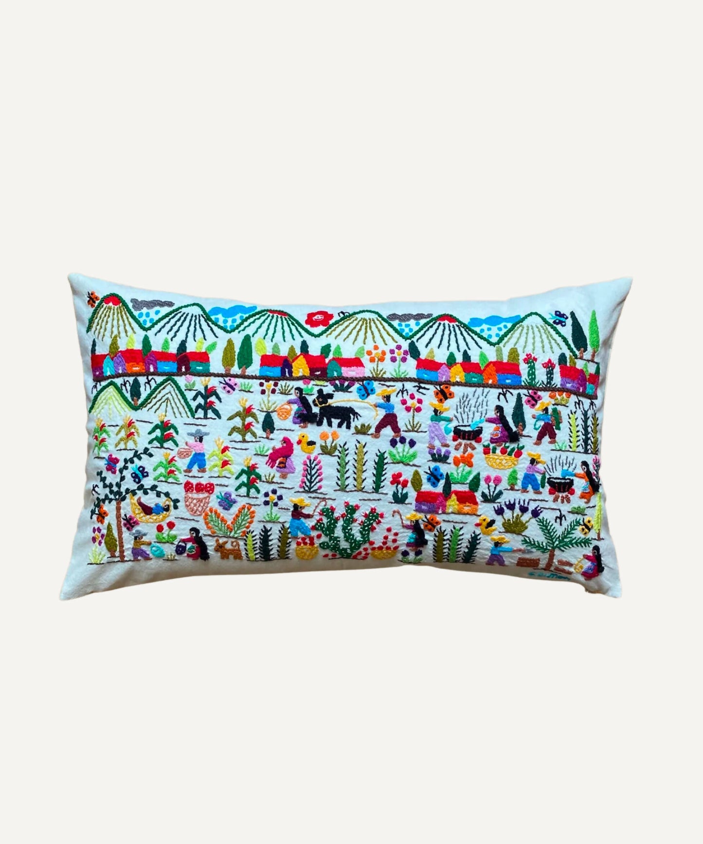 Coussin Brodé Main Histoire #33