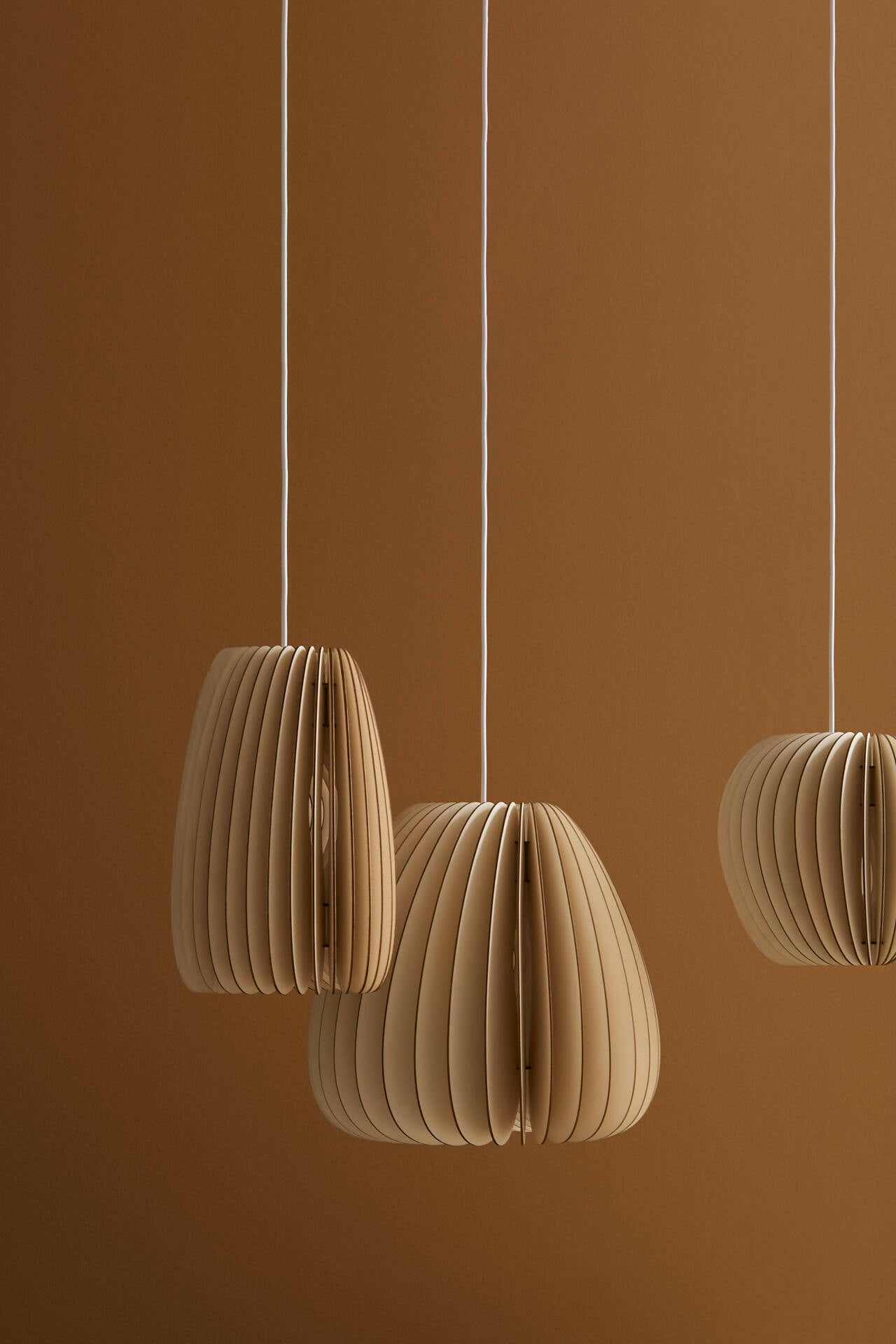 Suspension - "Secundum"