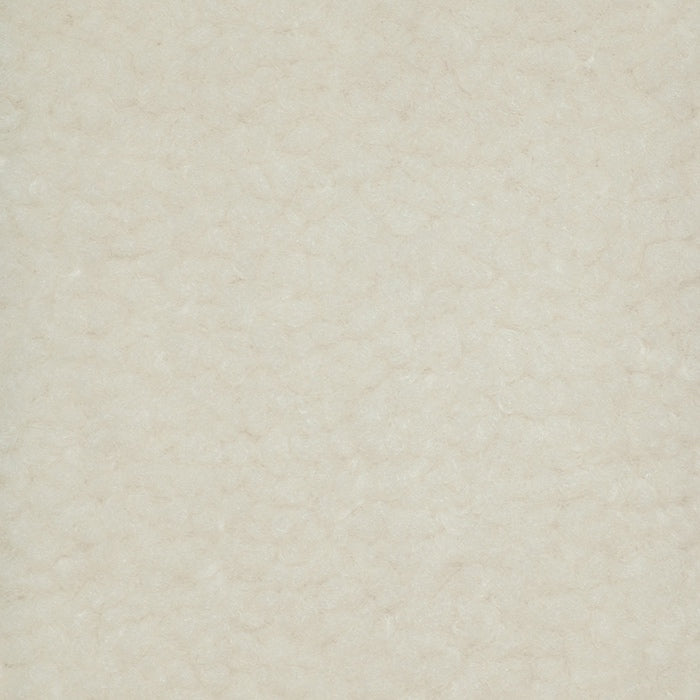 Teddy / Creme