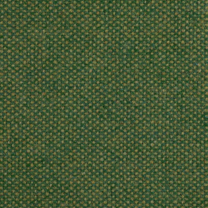 Wool / Olive