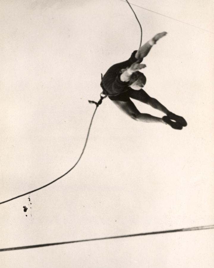Acrobate de Gras N°325  Rond XL
