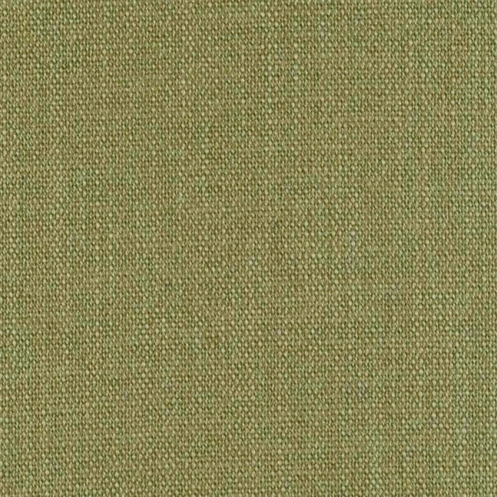 Coco / Olive