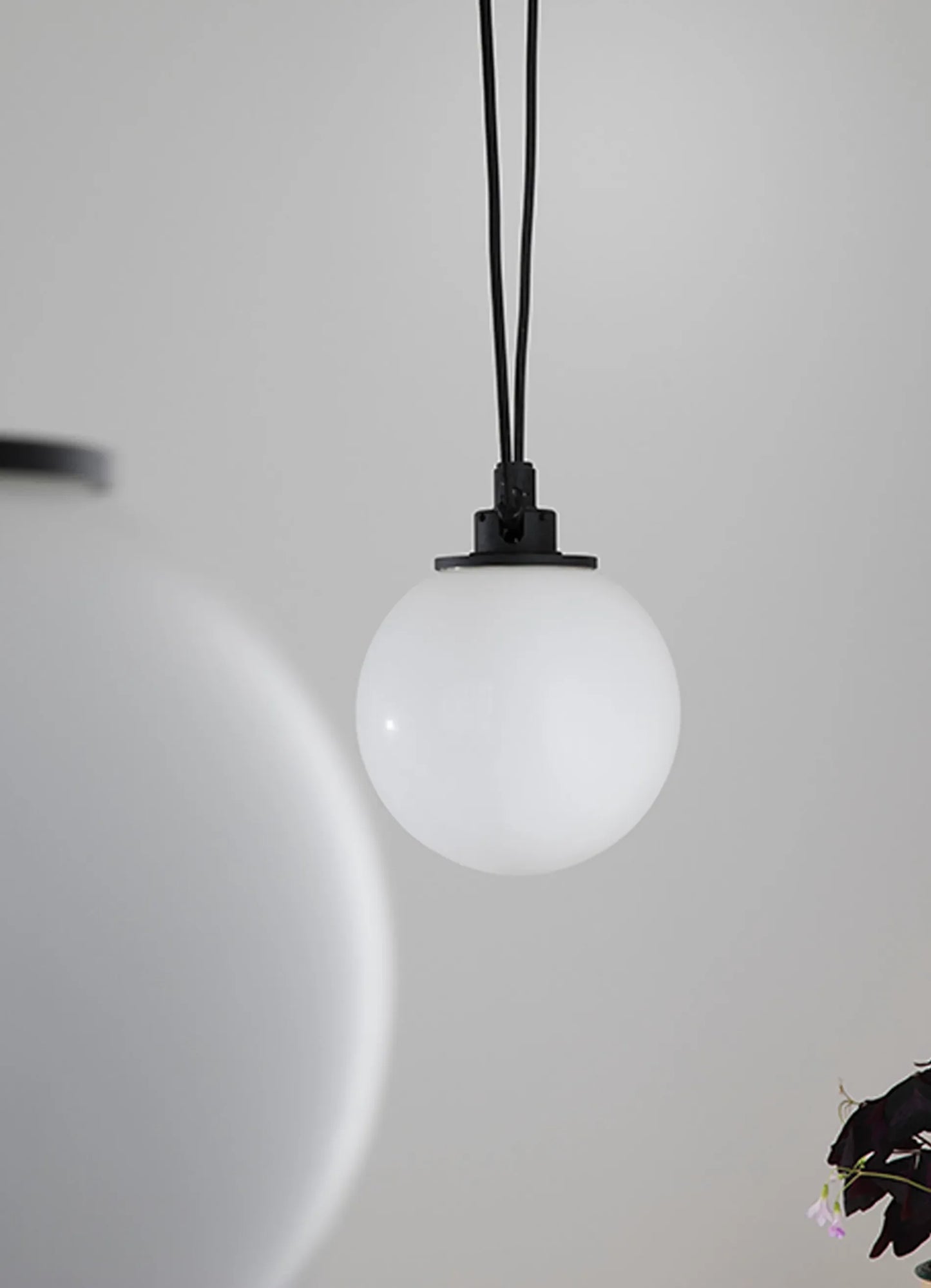Acrobate de Gras N°323 - Globe Opalin 250