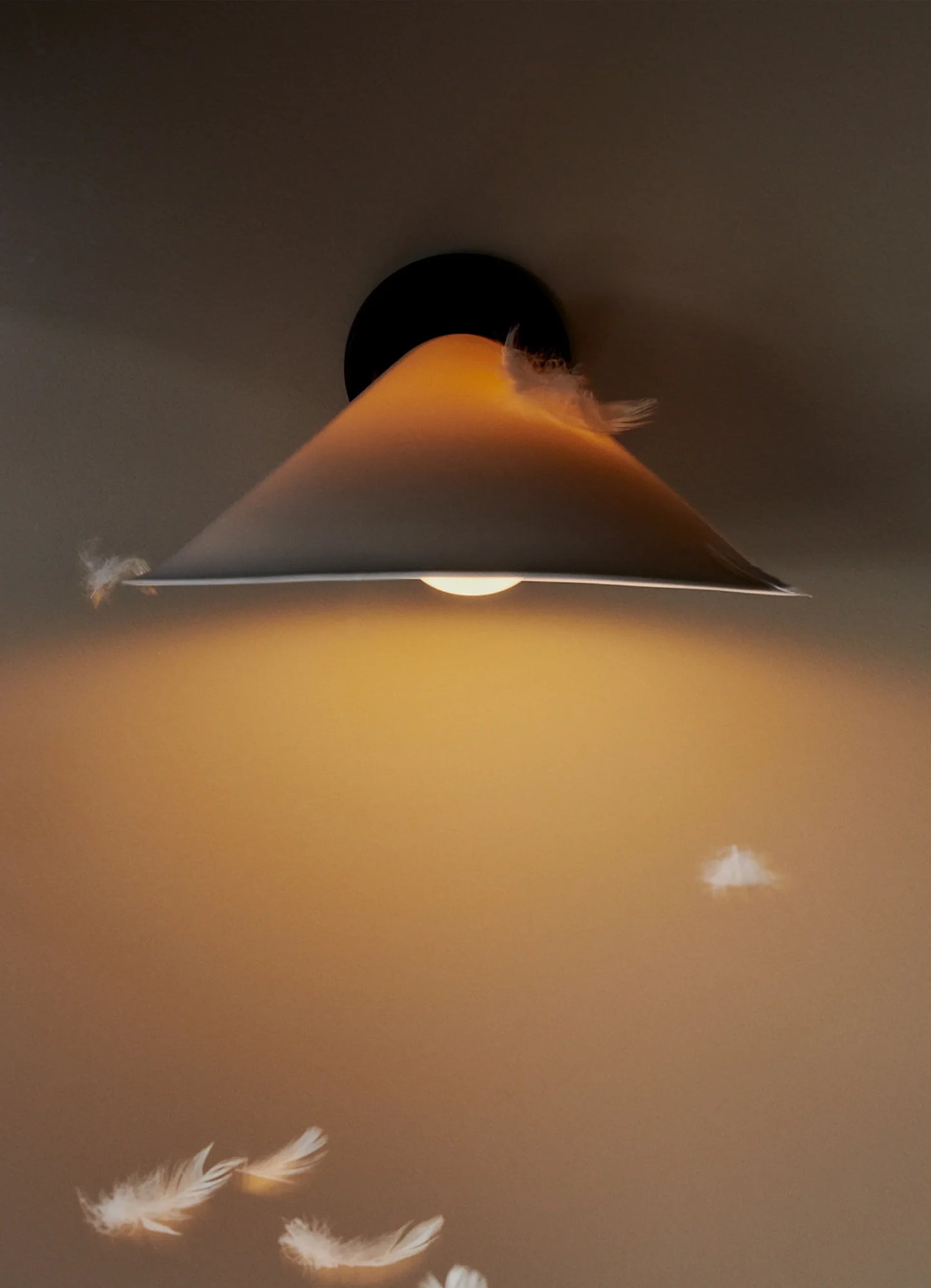 Plume