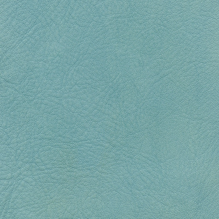 Natural Leather / Light Blue
