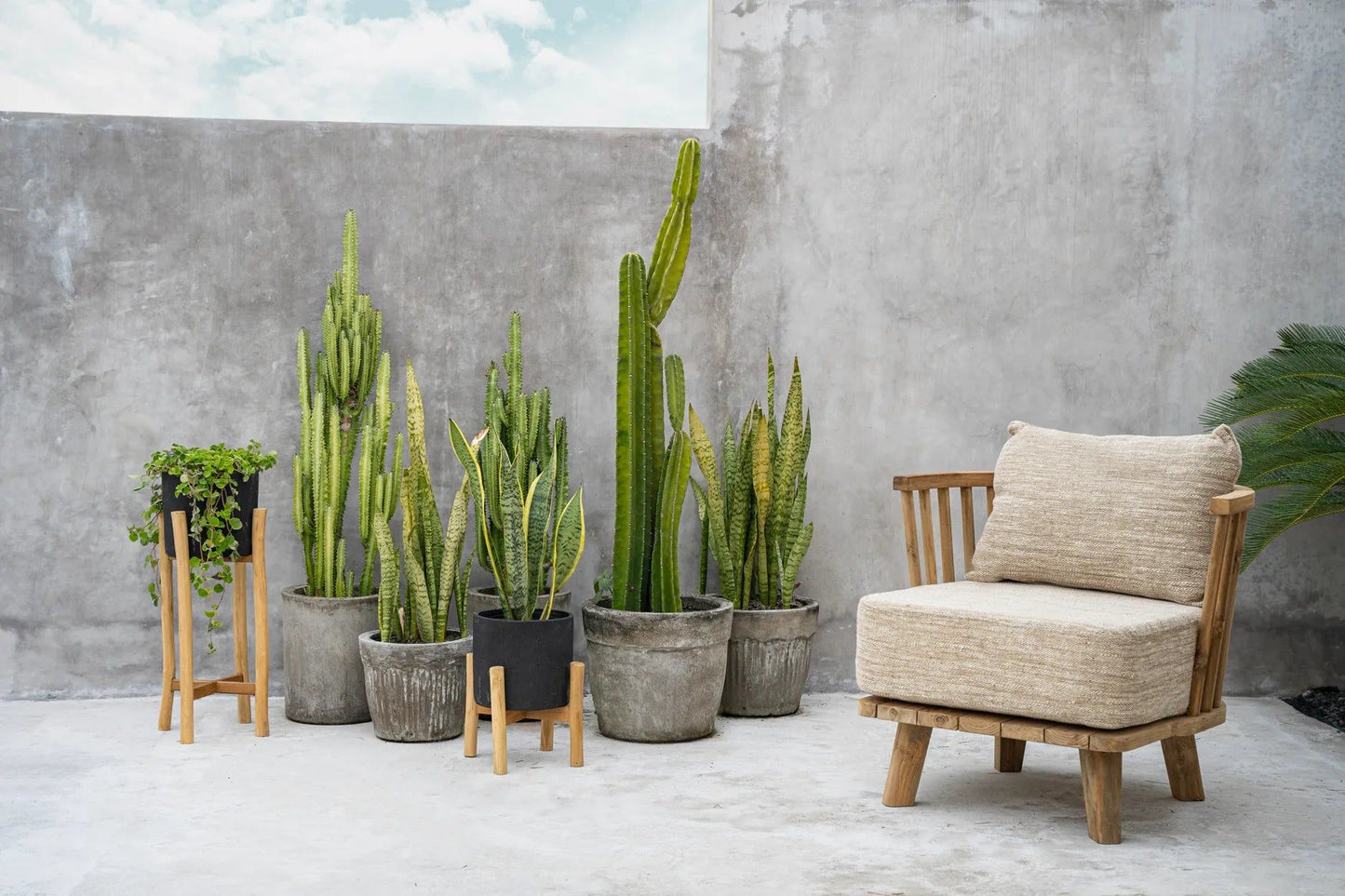 Fauteuil Malawi en bois de Teck, tissu beige naturel