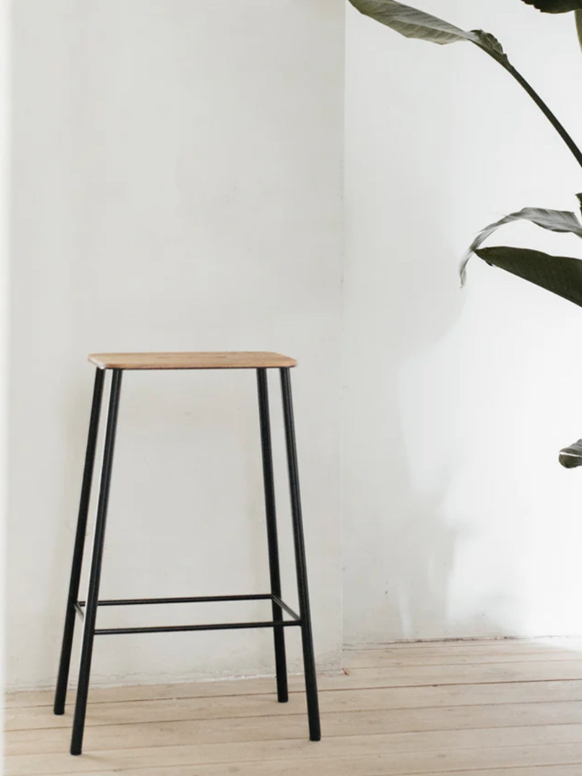 Tabouret, Adam