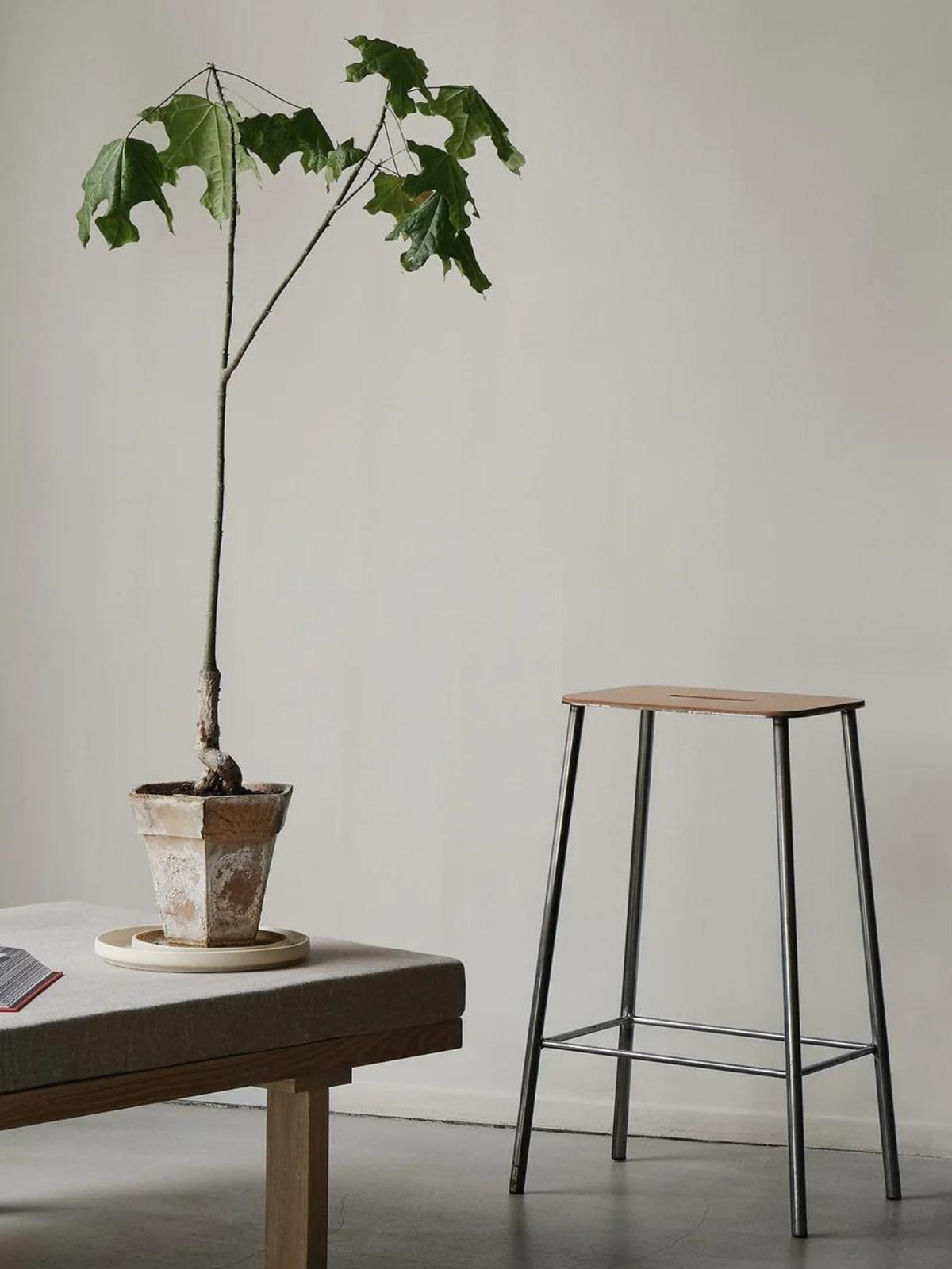 Tabouret, Adam