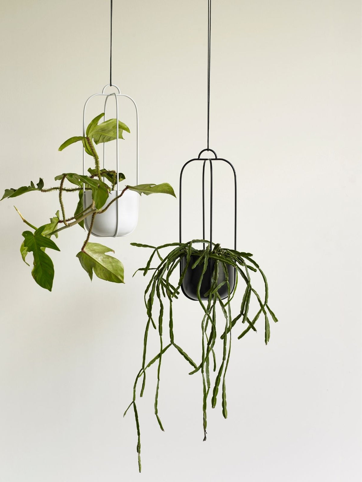 Lot de 2 cache-pots suspendus en métal noir, Bodo