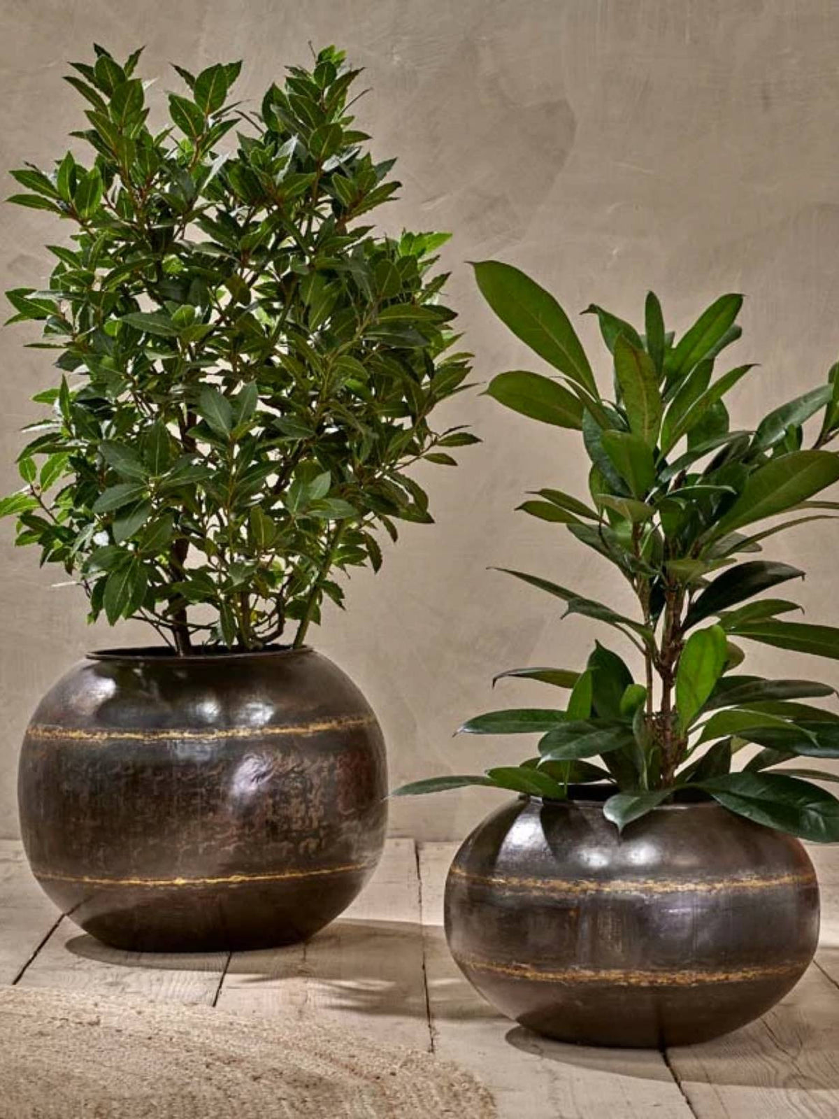 Jardinière globe en fer recyclé, Endo