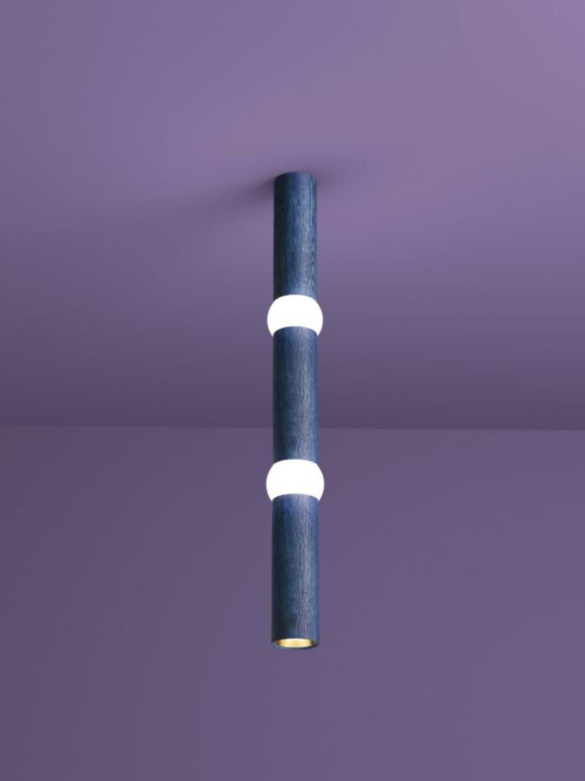 Suspension Lightbone