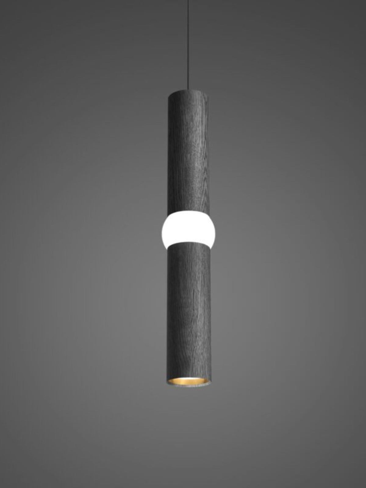 Suspension Lightbone