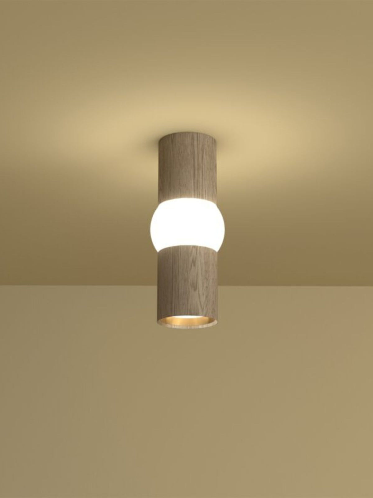 Suspension Lightbone