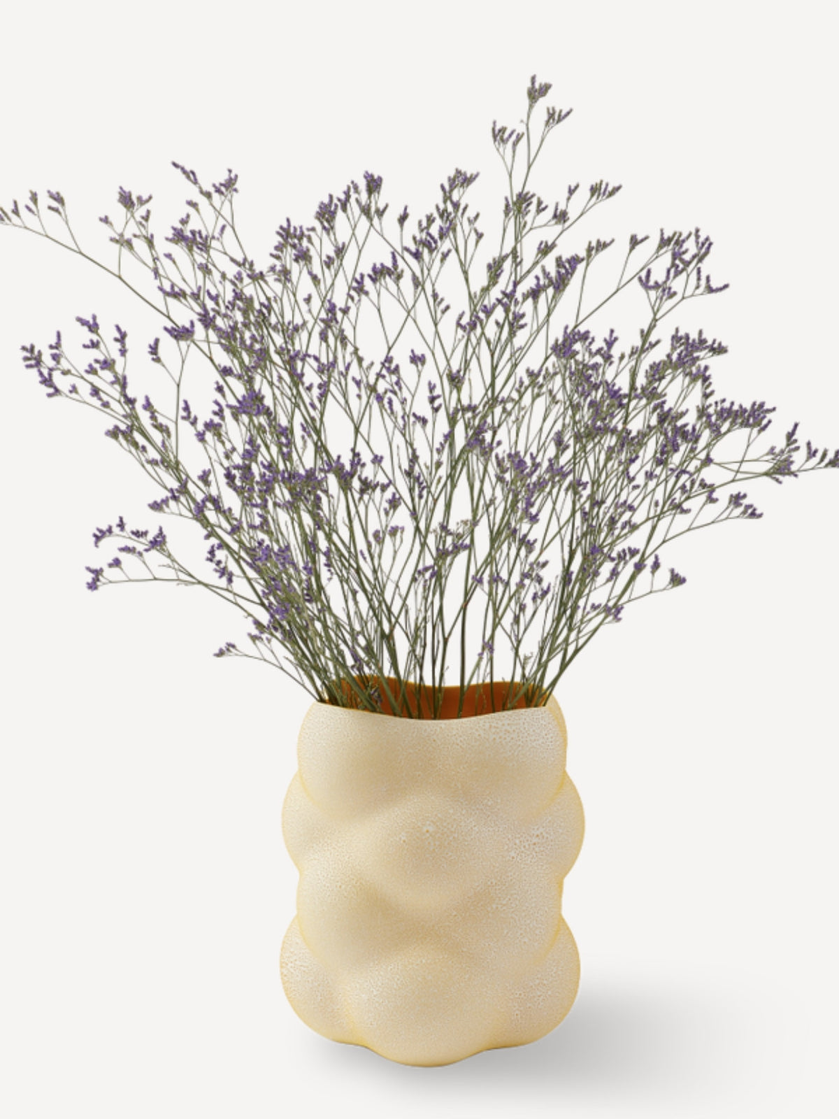 Vase en faïence, Raisin - S