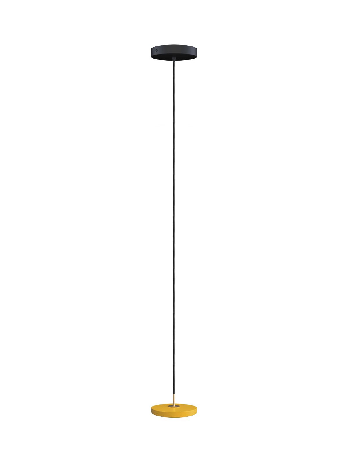 Suspension en acier, Asteria Micro